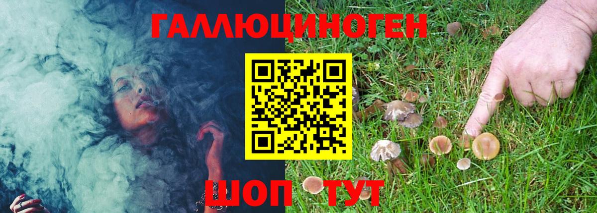 Псилоцибиновые грибы MAGIC MUSHROOMS  Галлюциногенные грибы Cubensis  Вход с VPN  Екатеринбург 